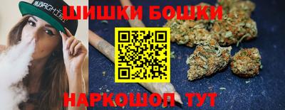 индика Лесосибирск
