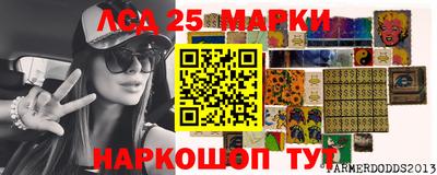 индика Лесосибирск