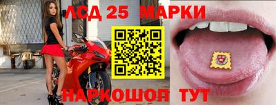 индика Лесосибирск