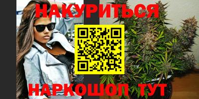 индика Лесосибирск