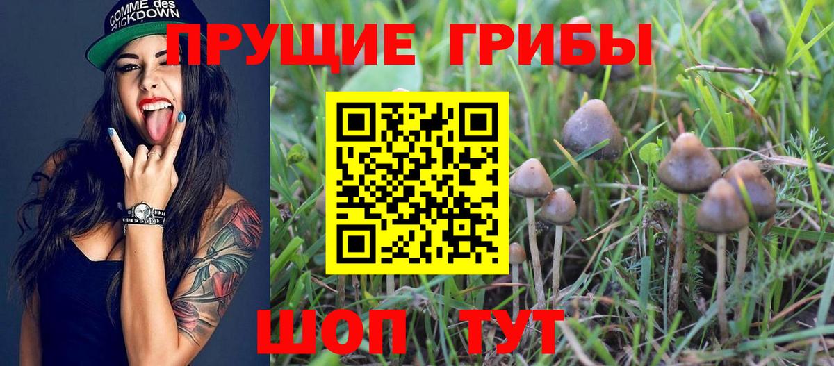 Псилоцибиновые грибы MAGIC MUSHROOMS Вязьма